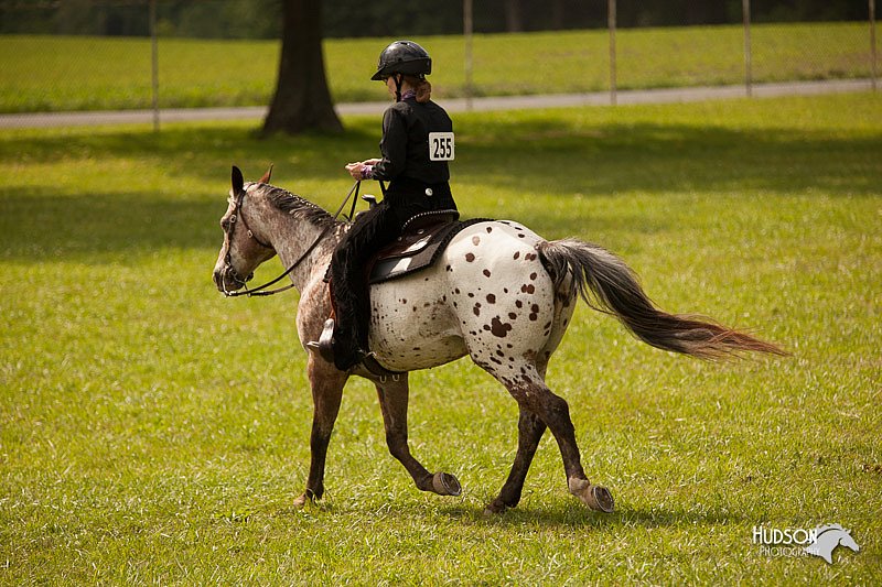 4H-1st-Show-11_2055.jpg