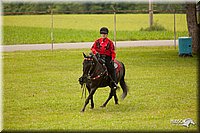 4H-1st-Show-11_1982.jpg