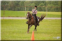 4H-1st-Show-11_1987.jpg