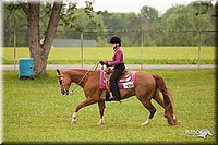 4H-1st-Show-11_1994.jpg