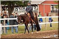 4H-1st-Show-11_2015.jpg