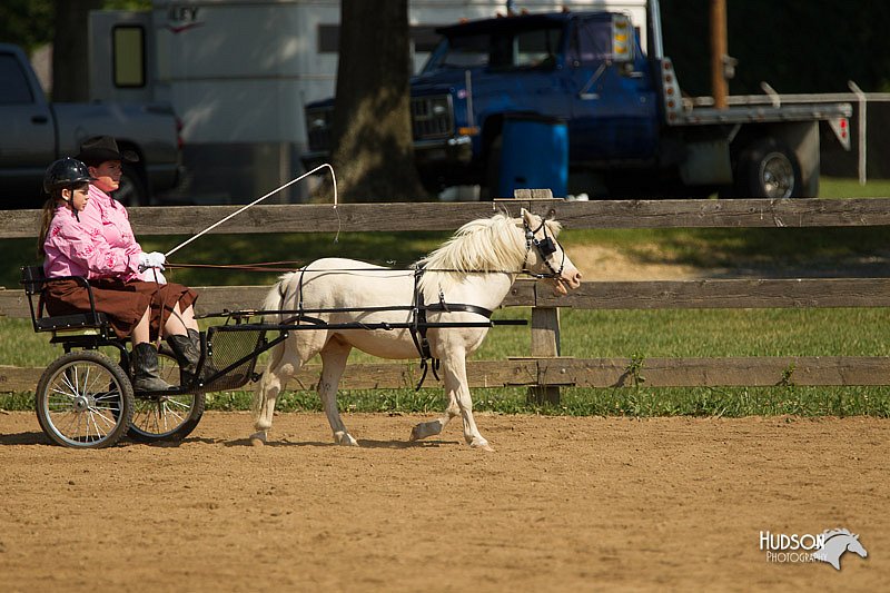 4H-2nd-Show-11_1096.jpg