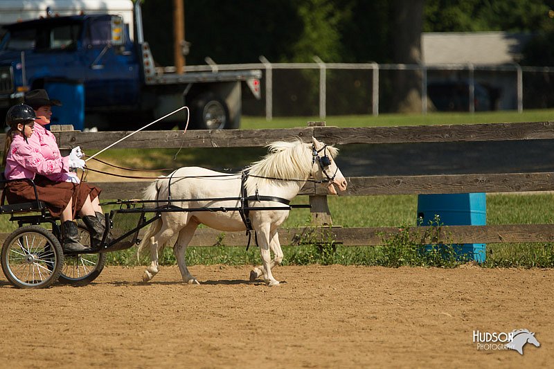 4H-2nd-Show-11_1097.jpg