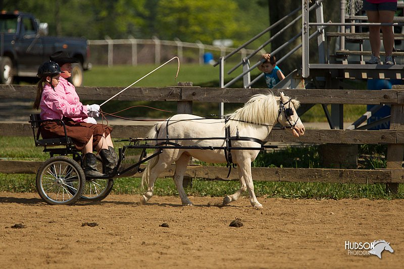 4H-2nd-Show-11_1099.jpg