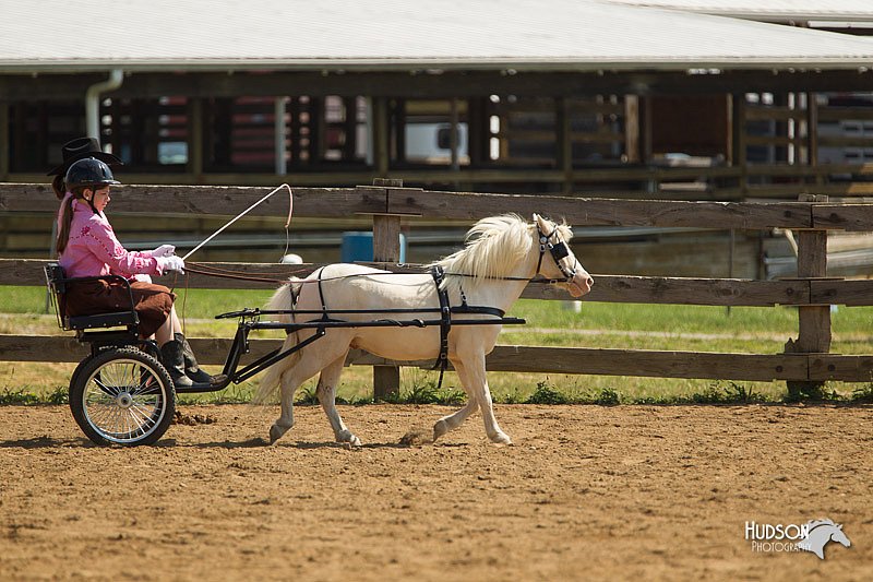 4H-2nd-Show-11_1100.jpg