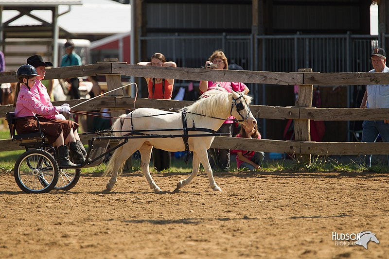 4H-2nd-Show-11_1101.jpg