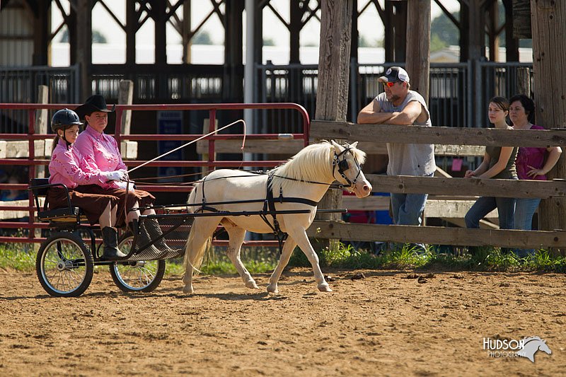 4H-2nd-Show-11_1102.jpg