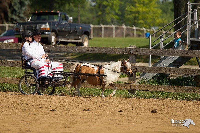 4H-2nd-Show-11_1103.jpg