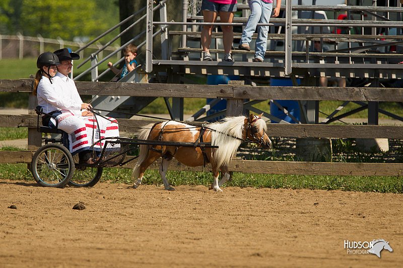 4H-2nd-Show-11_1104.jpg