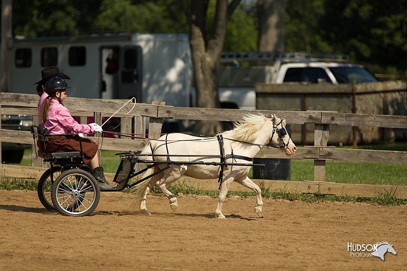 4H-2nd-Show-11_1105.jpg