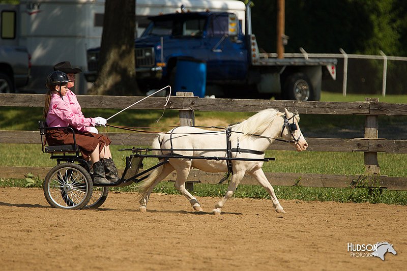 4H-2nd-Show-11_1106.jpg