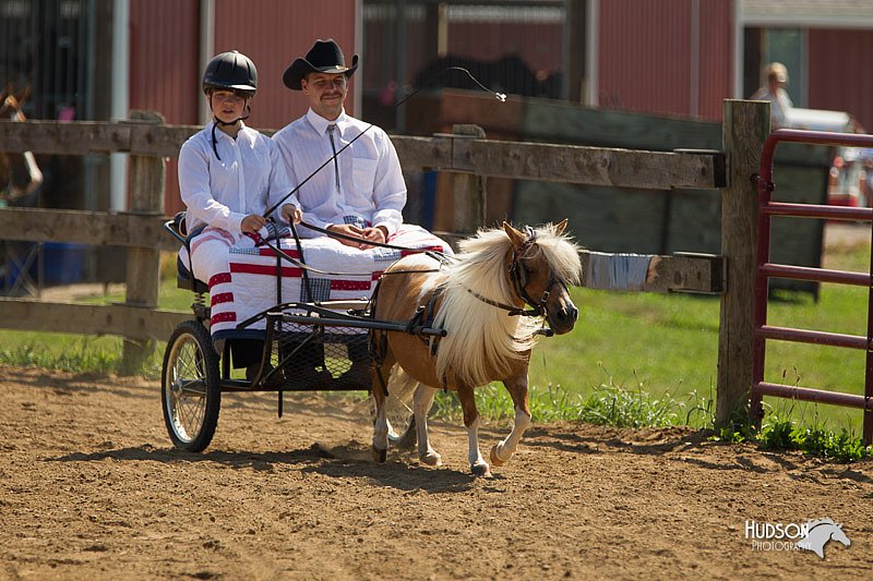 4H-2nd-Show-11_1107.jpg