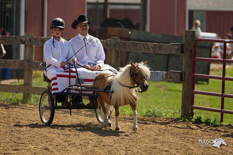 4H-2nd-Show-11_1108.jpg