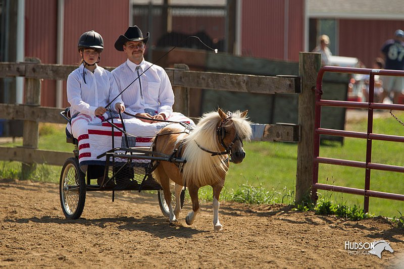 4H-2nd-Show-11_1109.jpg