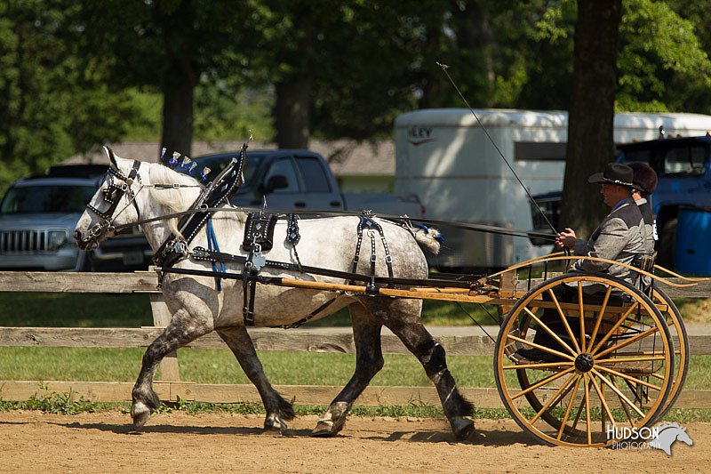 4H-2nd-Show-11_1119.jpg