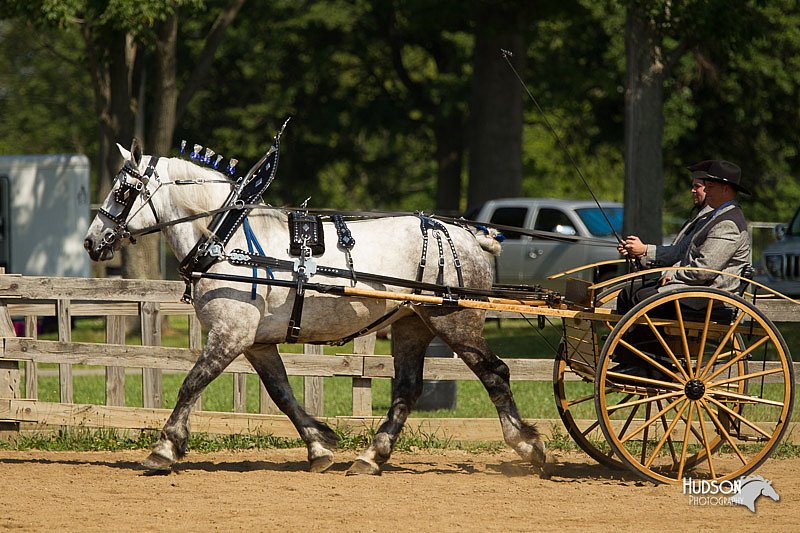 4H-2nd-Show-11_1120.jpg