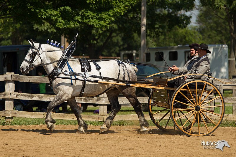 4H-2nd-Show-11_1121.jpg