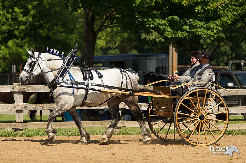 4H-2nd-Show-11_1122.jpg