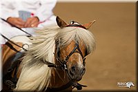 4H-2nd-Show-11_1095.jpg