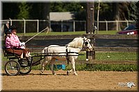 4H-2nd-Show-11_1098.jpg