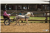 4H-2nd-Show-11_1100.jpg