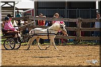 4H-2nd-Show-11_1101.jpg