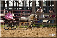 4H-2nd-Show-11_1102.jpg