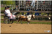 4H-2nd-Show-11_1104.jpg