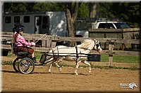 4H-2nd-Show-11_1105.jpg