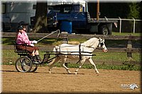 4H-2nd-Show-11_1106.jpg