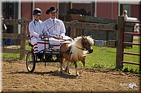 4H-2nd-Show-11_1107.jpg