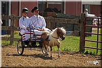 4H-2nd-Show-11_1108.jpg