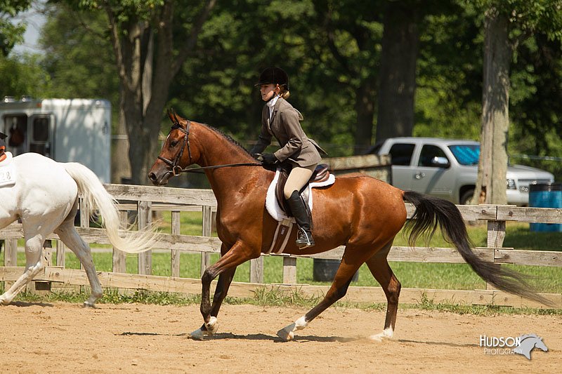 4H-2nd-Show-11_1269.jpg