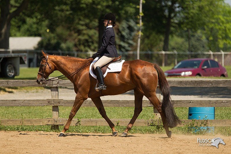 4H-2nd-Show-11_1276.jpg