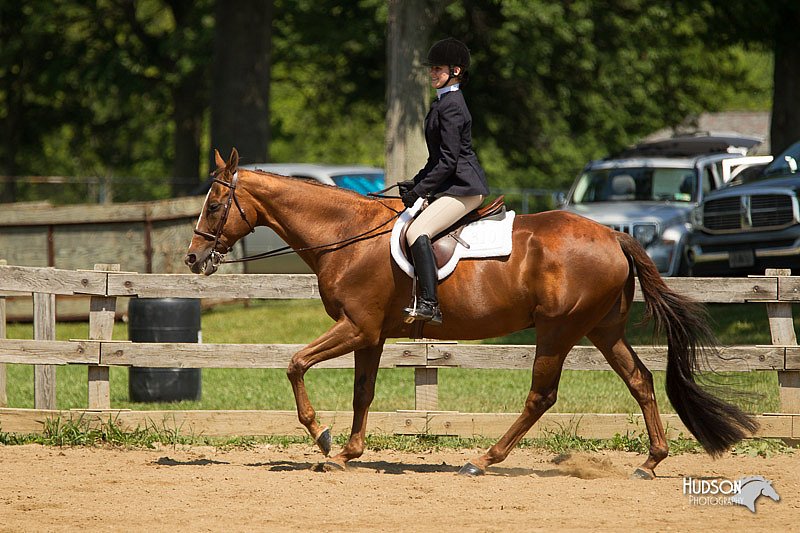 4H-2nd-Show-11_1283.jpg