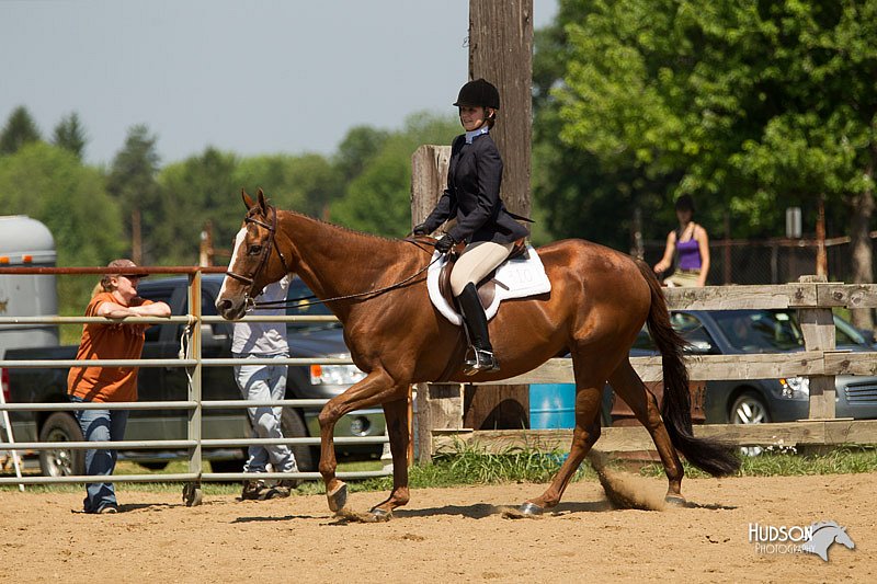 4H-2nd-Show-11_1285.jpg