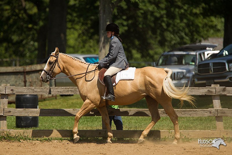 4H-2nd-Show-11_1290.jpg