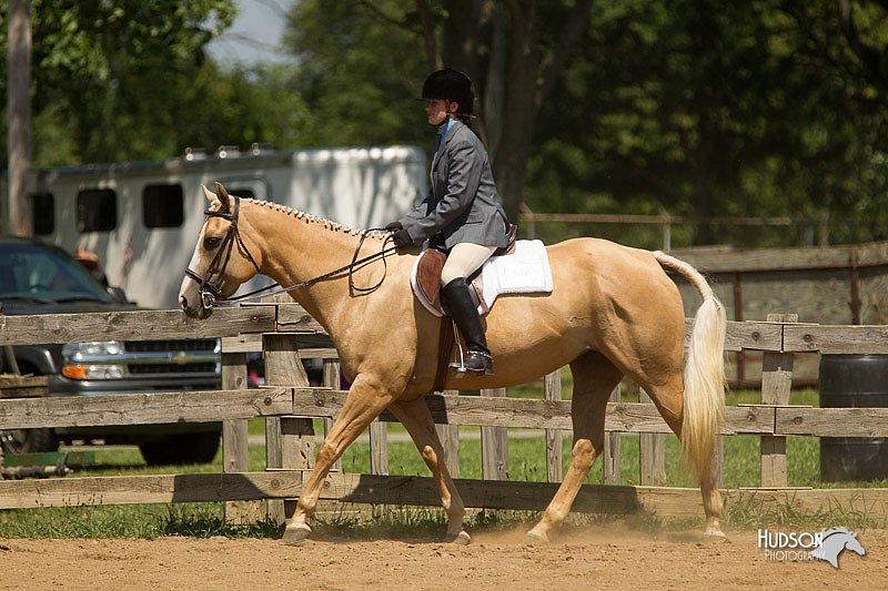 4H-2nd-Show-11_1291.jpg