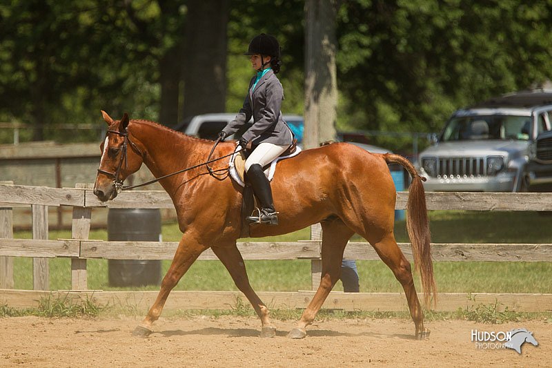 4H-2nd-Show-11_1292.jpg