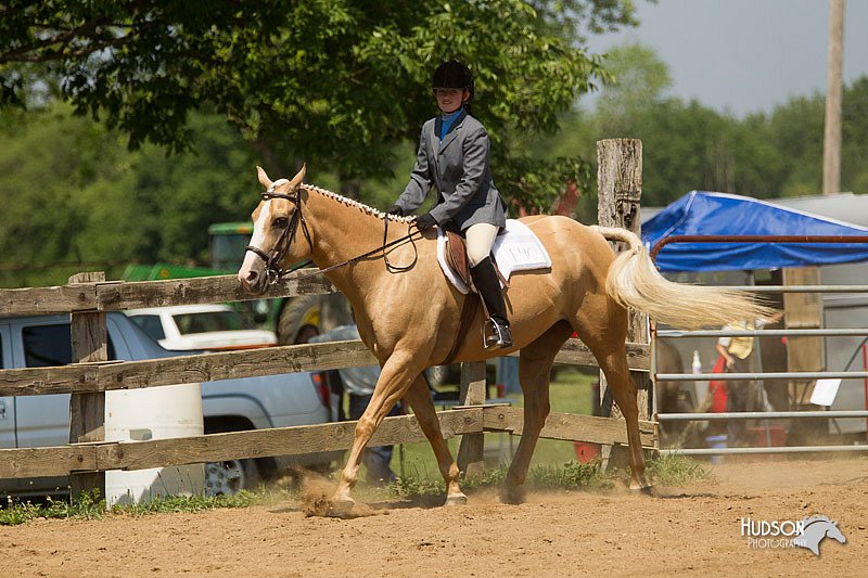 4H-2nd-Show-11_1295.jpg