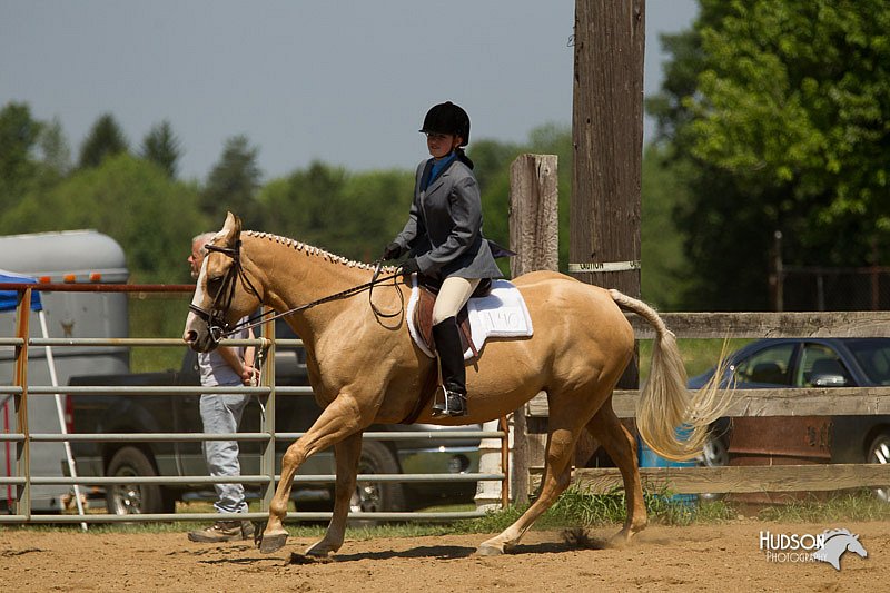 4H-2nd-Show-11_1299.jpg