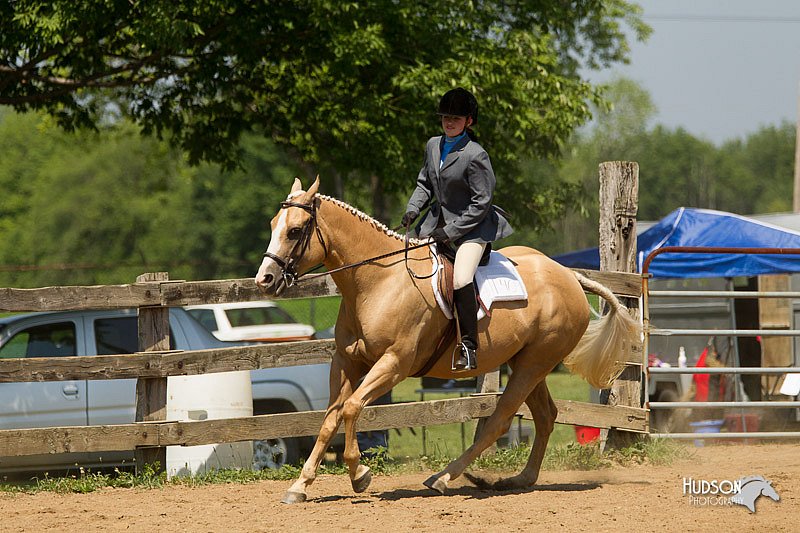 4H-2nd-Show-11_1300.jpg