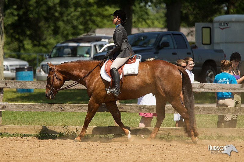 4H-2nd-Show-11_1314.jpg