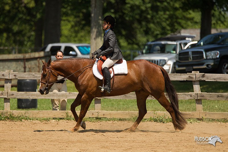 4H-2nd-Show-11_1321.jpg