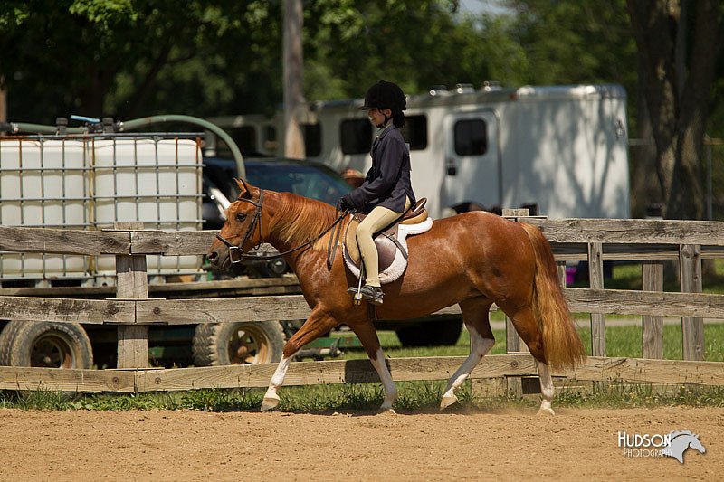 4H-2nd-Show-11_1324.jpg