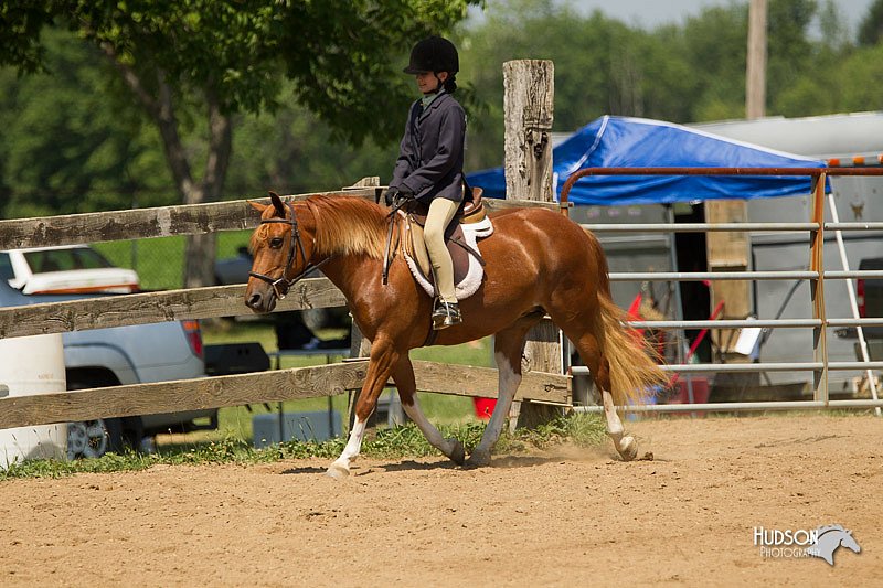 4H-2nd-Show-11_1327.jpg