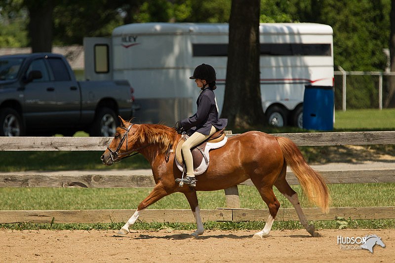 4H-2nd-Show-11_1331.jpg