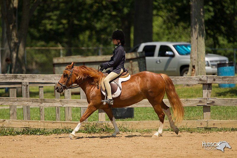 4H-2nd-Show-11_1332.jpg