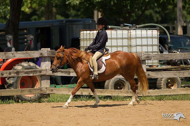 4H-2nd-Show-11_1333.jpg