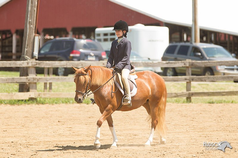 4H-2nd-Show-11_1334.jpg